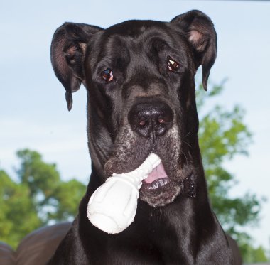 Edindiği bir kapsam için izole mercek