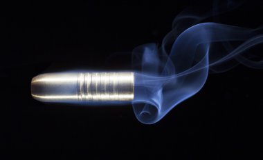 Bir yazı üzerine tünemiş sinek kuşu