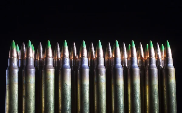 녹색 이끼 총알의 라인업 — 스톡 사진