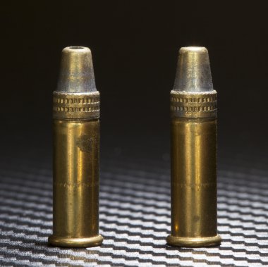 Bir ölçekte kısa deniz hayvanı kabuğu