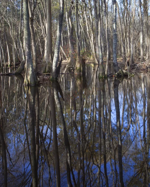 Kuzey Carolina doğal nehir — Stok fotoğraf