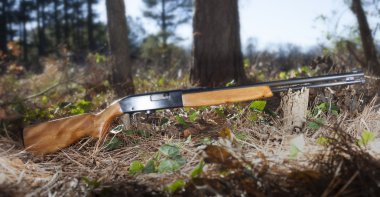 Göz alıcı rimfire tüfek