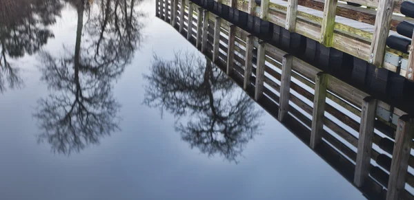 Baumreflexion auf einem See — Stockfoto