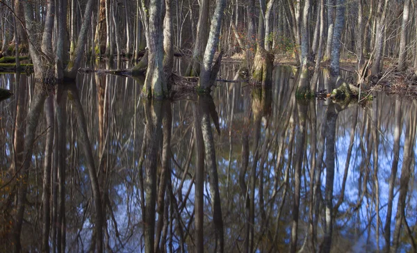 Kuzey Carolina'da yansıtan su — Stok fotoğraf