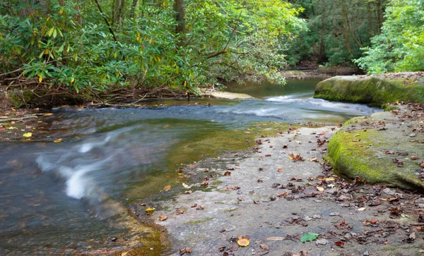Fluss Fließt Durch Bäume Stone Mountain State Park North Carolina — Stockfoto