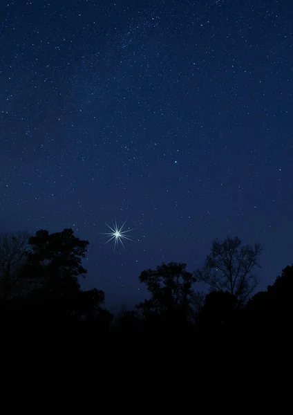Açık Bir Gecede Karanlık Bir Ormanın Üzerinde Parlak Bir Yıldız — Stok fotoğraf
