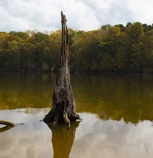 Herbstliche Farben Kommen Zum Vorschein Und Spiegeln Sich Der Nähe — Stockfoto