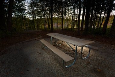 Sonbaharın başlarında Kuzey Carolina 'daki Falls Gölü' nde piknik tezgahı