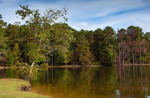 Herbstfarben Beginnen Sich Ufer Des Falls Lake Zeigen — Stockfoto