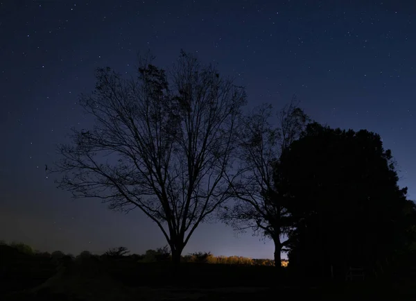 Lights from a distant farm near Raeford North Carolina with stars above