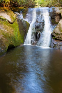 Kuzey Carolina 'daki Stone Mountain State Parkı' nda Kara Dul Şelalesi