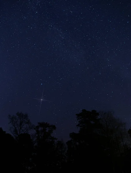 Brillante Estrella Elevándose Por Encima Los Árboles Cerca Raeford Carolina — Foto de Stock