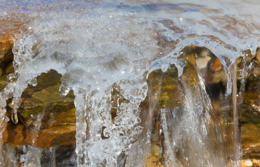 Kuzey Carolina 'yı vuran bomba kasırgasından sonra küçük bir şelale kaplandı.