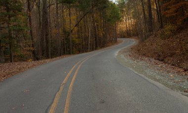 Yolun üzerindeki gölgeler Kuzey Carolina 'daki Ürdün Gölü' ne düştü