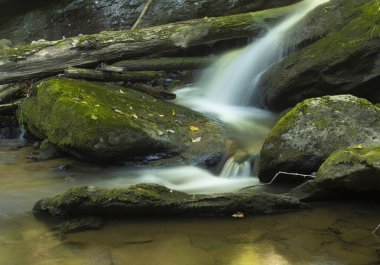 Kayaların üzerinden hızla akan şelale ve Boone North Carolina yakınlarında büyük bir kütük..