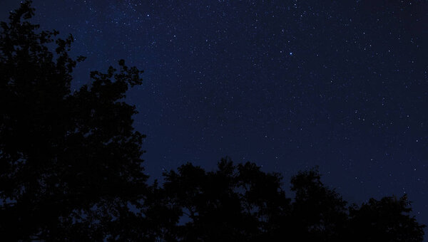 Звезды и силуэтированные деревья с местом для текста рядом с Рейфордом, штат Северная Каролина