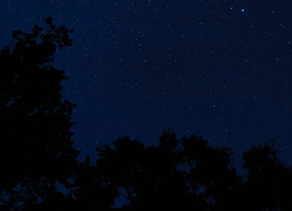 Línea Árboles Siluetas Con Muchas Estrellas Detrás Cerca Raeford Carolina — Foto de Stock