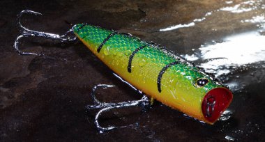 Yüzeye dökme ve geri getirme için tasarlanan sarı, yeşil ve kırmızı balık yemi su damlalarıyla kaplıdır ve ıslak bir kayanın üzerinde dinlenir..