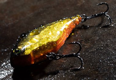 Balıkçılık için taş ve krank yemi. Turuncu ve altın rengi ile kaplı bir geri sayım stilidir. Islak bir kayanın üzerinde ışık ve arkadan gelir..