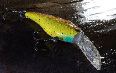 Tatlı su balıkçılığı için sarı krank yemi. Sarı ve siyah bir vücutla suya batırılmış ve mavi ve ıslak kayalara dokunmuş..