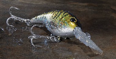 Sarı ve gümüş suni balık yemi ıslak bir taşla kaplanmış av balığı yakalamak için tasarlandı..