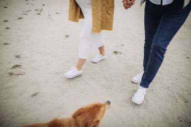 Çiftler kumlu zeminde evcil köpekleri ile el ele yürüyorlar, birlikte gezintiden zevk alıyorlar.