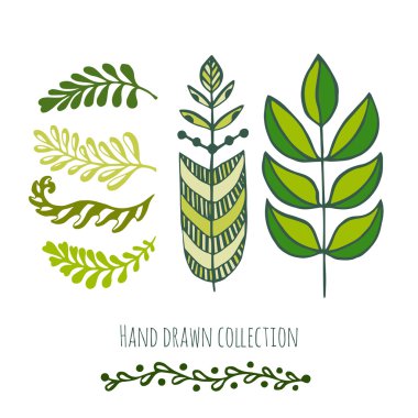 Etnik yeşil doodle bırakır  