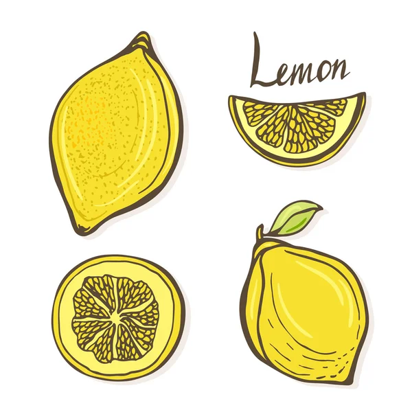 Vector set of hand drawn sketch lemons — Stock Vector