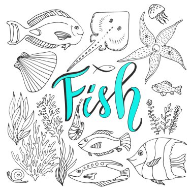 Vektör çizimleri set balık.  