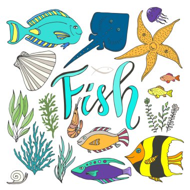 Vektör balık ayarlayın. Elle çizilmiş deniz seti  