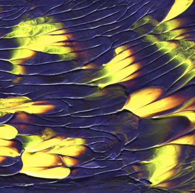 Akrilik renkli zemin