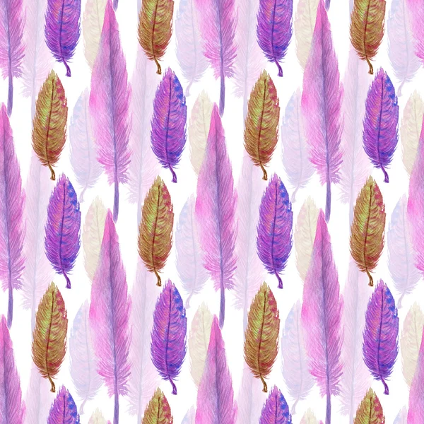 아름 다운 수채화 깃털 — 스톡 사진
