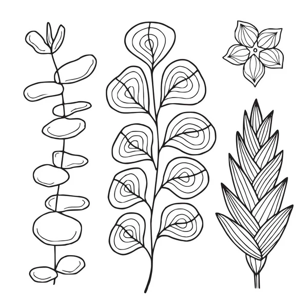 Illustration Der Tropischen Flora Druckbare Zeilenkunst Eukalyptuszweige Und Tropische Blumen — Stockvektor