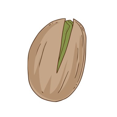 İzole edilmiş arka planda vektör fındık simgesi. Fıstık. Fıstık. El yapımı sağlıklı atıştırmalık.