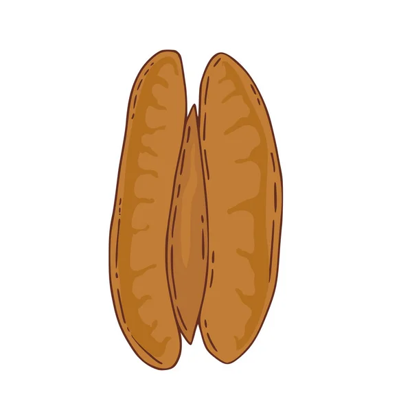 Icono Tuerca Vectorial Sobre Fondo Aislado Tipo Nuez Pecan Snack — Vector de stock