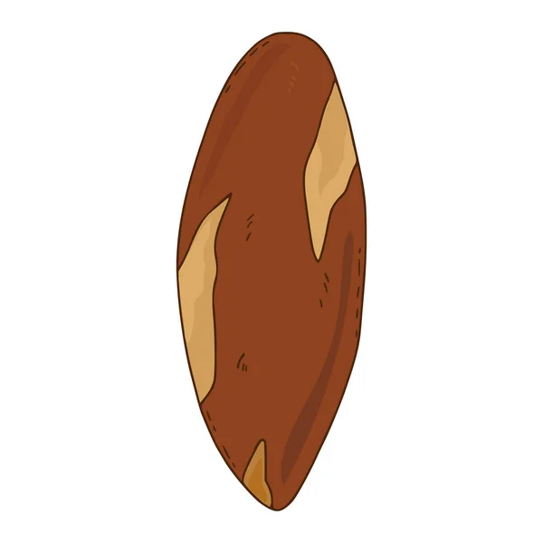 孤立背景上的向量坚果图标 巴西坚果的例证 手拉着厚重的点心 — 图库矢量图片