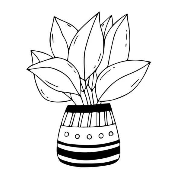 Houseplant Velkým Listím Ilustrace Vektorové Linie Logo Pro Květinářství Nebo — Stockový vektor