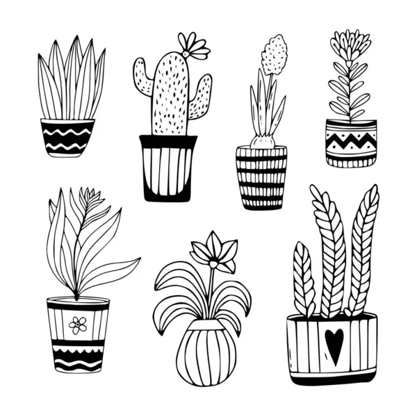 手描きの観葉植物コレクション 鍋に花をかわす かわいいインテリア植物とベクトル植物セット — ストックベクタ