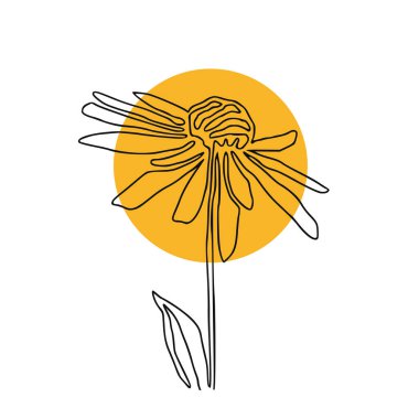 Tek sıra halinde papatya çayı. Çiçek yazdırılabilir poster