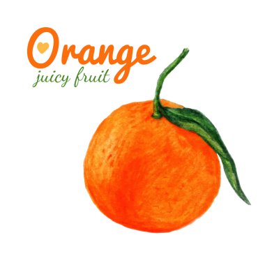 Sulu Boya turuncu meyve