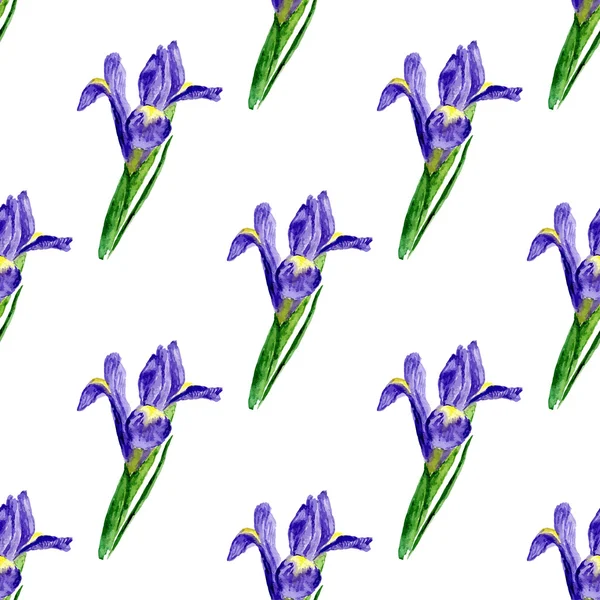 Patrón sin costura de acuarela con iris lila. Fondo vectorial pintado. Textura de fondo vectorial para tela, papel de regalo, textil — Vector de stock