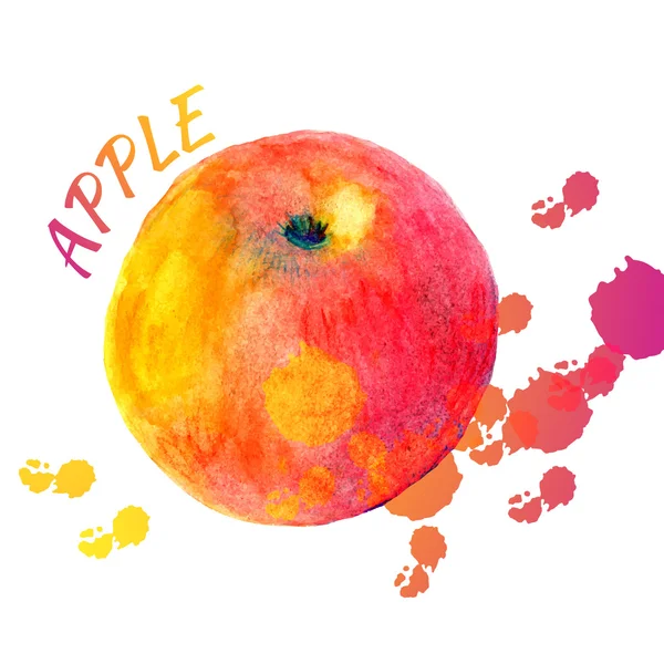 水彩的苹果的颜色飞溅 — 图库矢量图片