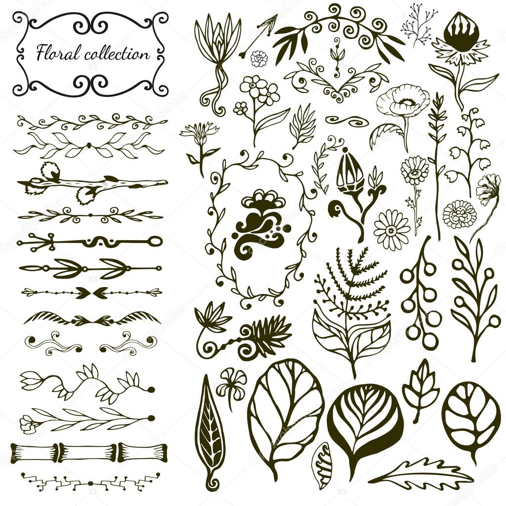 Hand-drawn floral big set with wild flowers, leaves, swirls, border. Vector with nature elements collection for design decoration