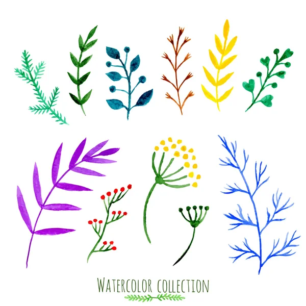 Vector floral set. Colorful floral collection with leaves and branches, watercolor painting. Isolated design elements for invitation, wedding, birthday decoration or greeting cards. — Stock Vector