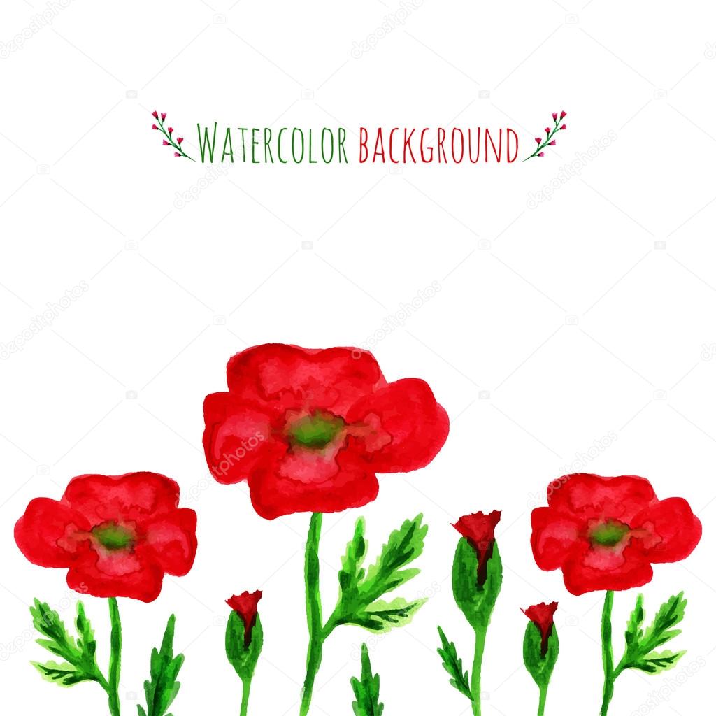 Watercolor field with red poppies.