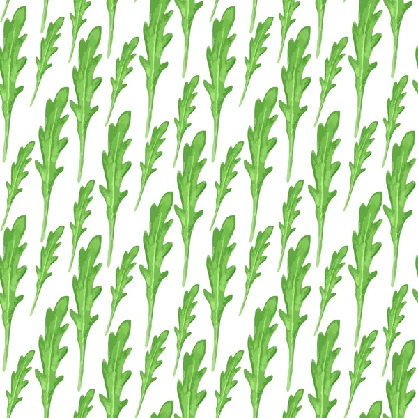 Green leaves of arugula — Stock Vector