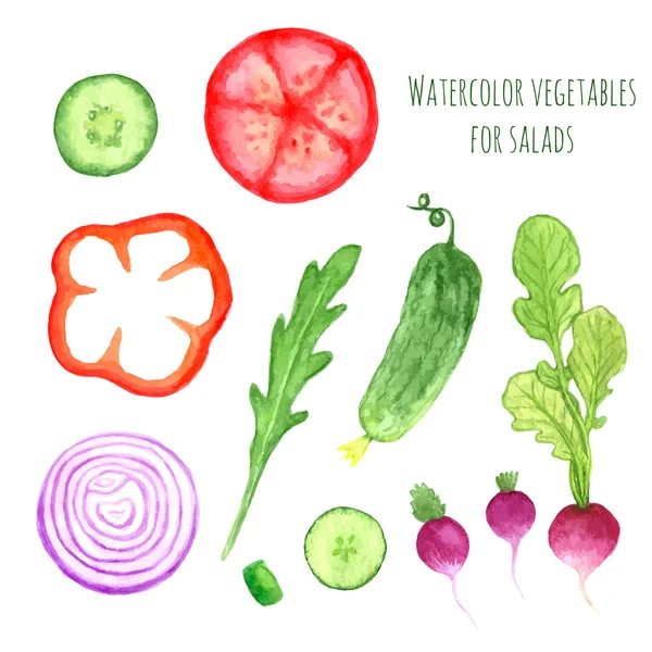 Watercolor vector vegetables set — Stock Vector