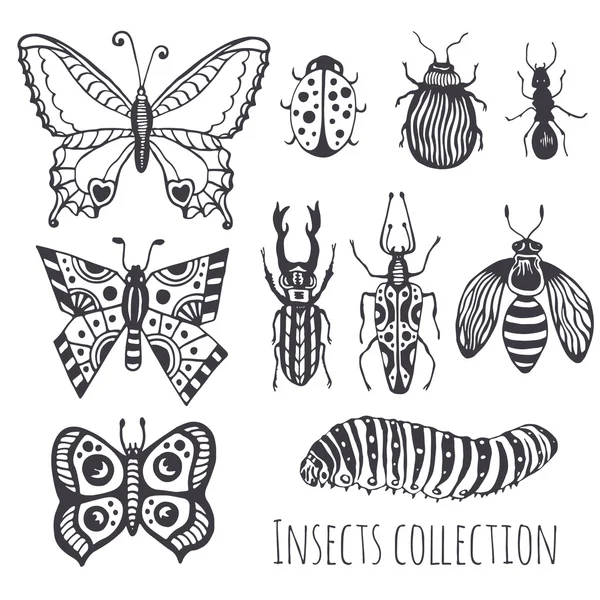 Collection of hand drawind insects, — Stock Vector