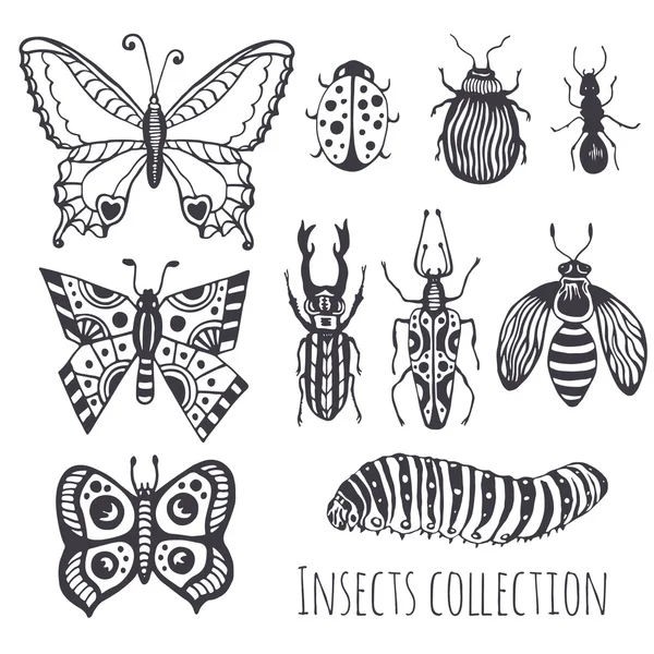 Collection of hand drawind insects — Stock Vector