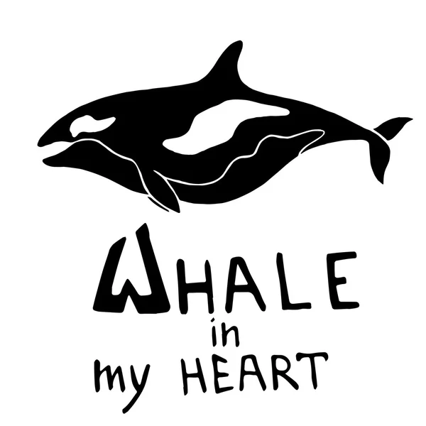 Dessiné à la main de baleine — Image vectorielle